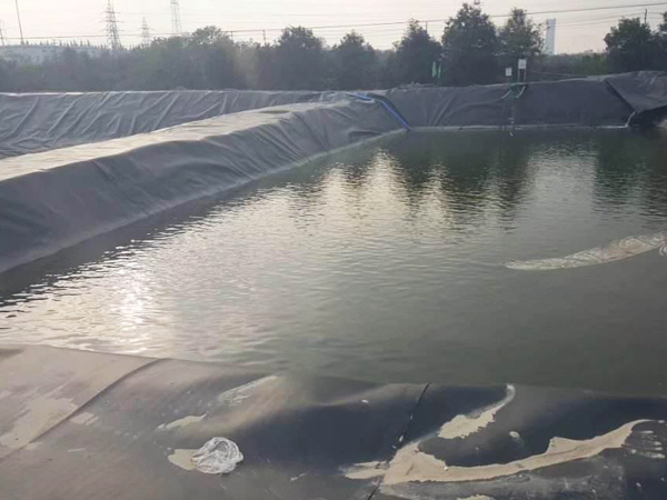 港澳宝典免费资料大全