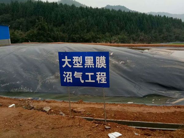 港澳宝典免费资料大全