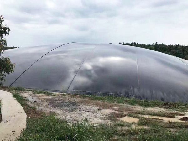 港澳宝典免费资料大全