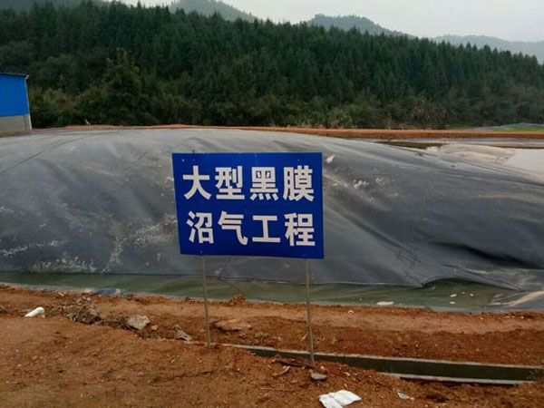 港澳宝典免费资料大全